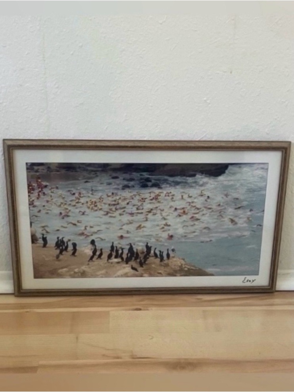 La Jolla Cove Rough Water Swim Art